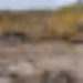 I LOVE YOU_Panorama2 RF.JPG